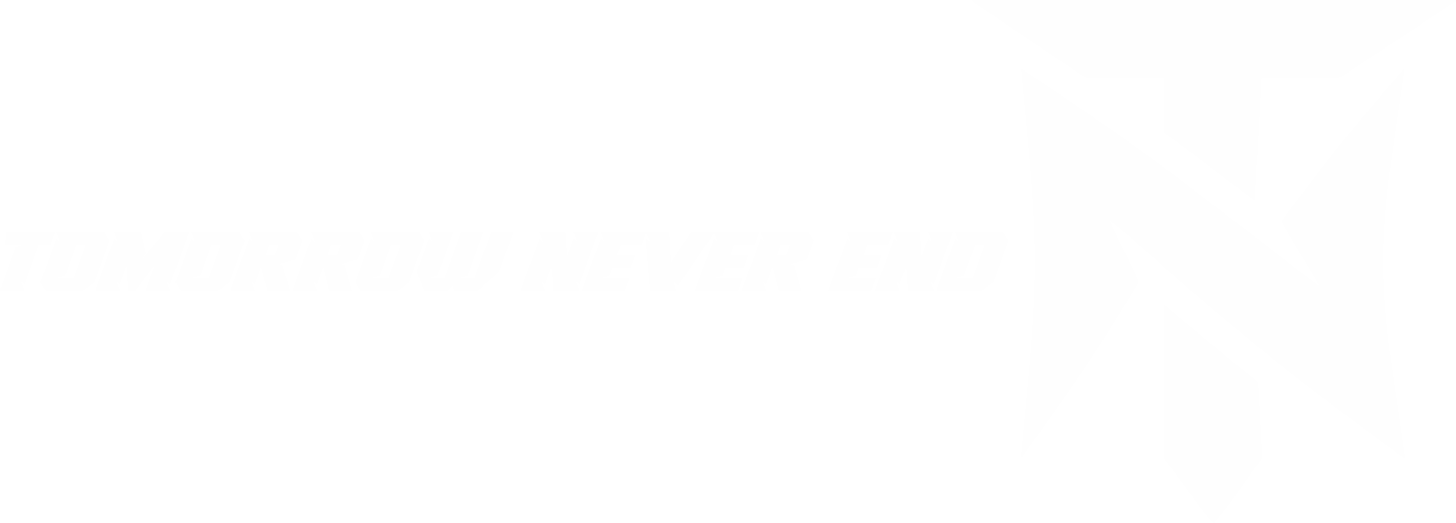 Tomorrow Never End Logo